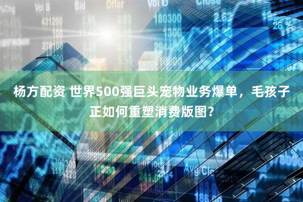 杨方配资 世界500强巨头宠物业务爆单，毛孩子正如何重塑消费版图？