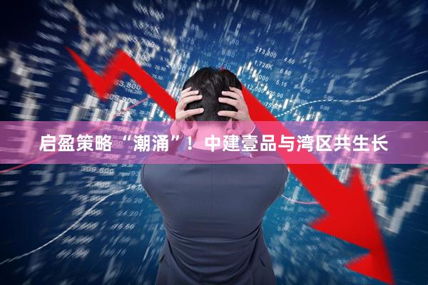 启盈策略 “潮涌”！中建壹品与湾区共生长